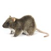Rat Plush Soft Toy by Hansa 7236 19cm