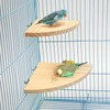 Parrot Bird Wood Perch Stand Platform Rectangle Fan-shaped Shelf Stand