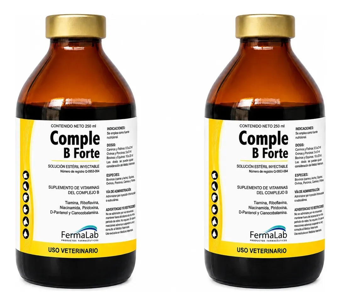 2 Comple B Forte 250 Ml Fermalab Complejo B