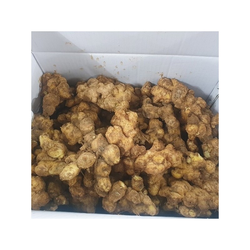 Domestic Yeongju Bonghwa Andong Hat Soil Ginger Special 4kg /