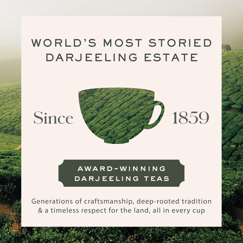 Makaibari Himalayan Spring, Special Edition First Flush Black tea 100