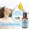 Natural Planet Eucalyptus Essential Oil 15ML Natural 100% Pure &