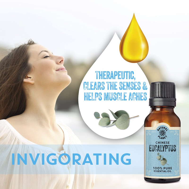 Natural Planet Eucalyptus Essential Oil 15ML Natural 100% Pure &