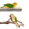Allazone 6 PCS Bird Perch Stand Natural Wood Standing &