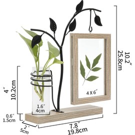 4x6 pulgadas Marco de fotos y terrario plantas 2 en 1 con ssoporte para decoración del hogar oficina escritorio (Beige)