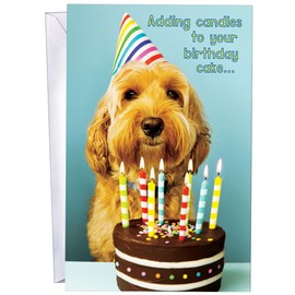 Chuck's Card-O-Rama - Birthday Greeting Card - MADE IN USA - Perfect Size: Opens to a generous 10" X 7.75" - Envelope Included - 94400 - AMAZING!
