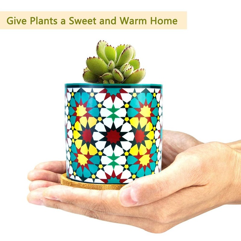 Ascrafter 6 Pack Mandala Succulent Plant Pot with Bamboo Trays,