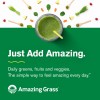 Amazing Grass Greens Blend Superfood The Original 1 lb (2