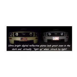 Race Plates #3 Dale Earnhardt Intimidator SS Souvenir License Plate SS0317INT