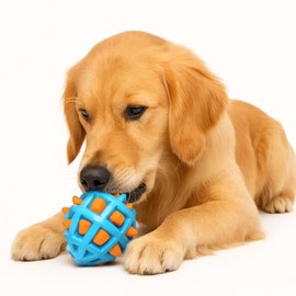 Interactive Spiked Dog Toy – A Unique Playtime Essential for Your Pup! (Green)