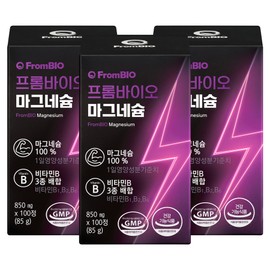 From Bio Magnesium, 100 tablets, 3 units / 프롬바이오 마그네슘, 100정, 3개