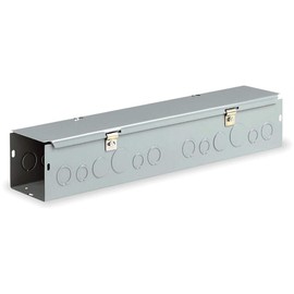 Wiegmann HS444 NEMA 1 Combination Hinge/Screw Cover Wireway with Knockouts, Steel, 4" x 4" x 48"