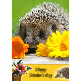 Hedgehog Animal Mothers Day Card
