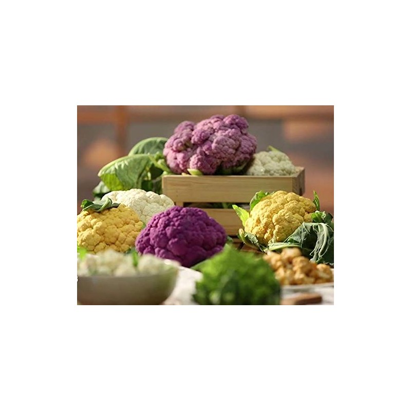 NIKA SEEDS - Seeds Vegetable Cauliflower Cabbage Mix - 200