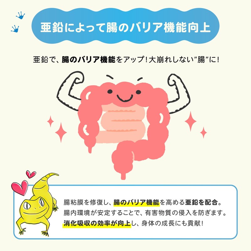 【レプケア乳酸菌】 爬虫類・両生類の腸内環境を整えるサプリメント（30g）〜乳酸菌×コオロギの力で健やかな毎日を〜