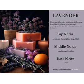 DEGUI 2Pack Lavender Scented Automotive Air Freshener Set, Car Accessories Decoration Hanging Scented Car Diffuser for Men Women Best Gifts