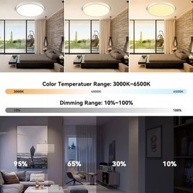 Luminación de Techo 30cm Lámpara, 3000k/4000k/6000k Plafón LED Moderna Redondo Regulación 3 Colores con Mando a Distancia, 36W 5000lm para Cocina, Pasillo, Sala Balcón(Borde blanco)