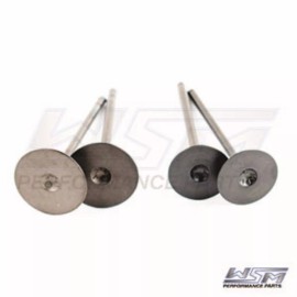 WSM Engine Valve Kit Polaris 450 / 570 / 850 11-24 - 017-403, 3022134, 3022349