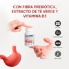 Probiotic Fit 30 Capsulas Avanzada Frmula de Probiticos y Prebiticos