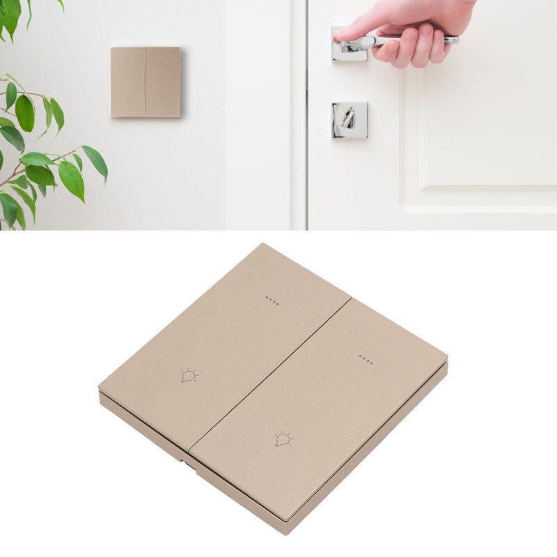 Smart Light Switch for ZigBee Wireless Voice Timing Control 2