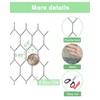 Garden Poultry Chicken Wire Netting - 57 '' × 150
