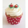 Very Hungry Caterpillars- Gorgeous, Edible and Handmade with Love in