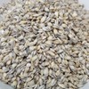 참두리 검정보리 쌀 블랙보리 흑보리 1kg (국내산) Chamduri Black Barley