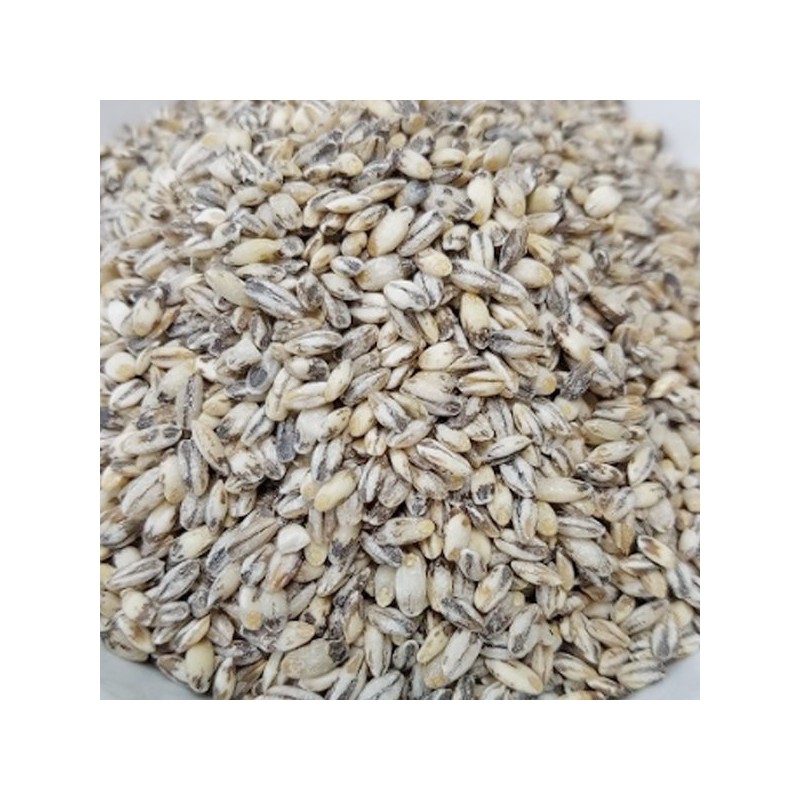 참두리 검정보리 쌀 블랙보리 흑보리 1kg (국내산) Chamduri Black Barley