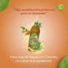 Jugo Verde Santo Magey Con Curcuma Michoacan Asado Paq 4