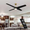 Parrot Uncle Black Ceiling Fans with Lights and Remote, 60