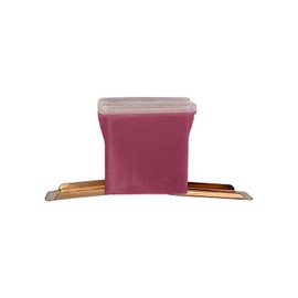 A.A 9/16"" Bent Male Terminal 30 Amp Fuse Replacement for PAL Auto Link, FLD Fuse Cartridge - Automotive Car Truck Audio RV (30A, 1 Pack)