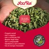 (6 PACK) - Yogi Tea - Green Chai | 17