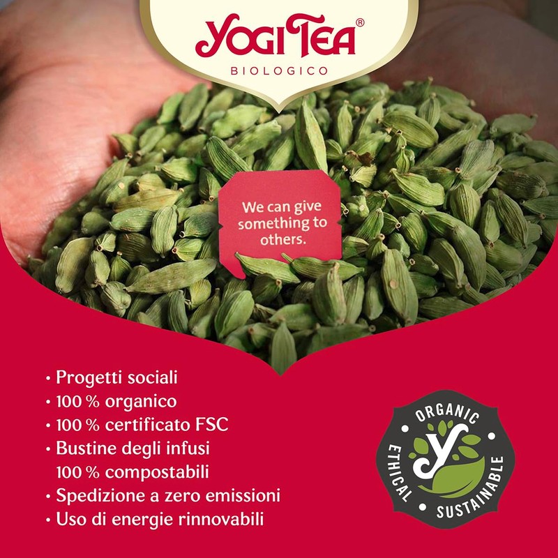 (6 PACK) - Yogi Tea - Green Chai | 17