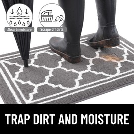 Buganda Indoor Door Mat, Resist Dirt and Absorbent Entrance Mat, Anti-Slip, Low Profile Inside Floor Mat Doormat for Entryway (48x32 inches, Grey)