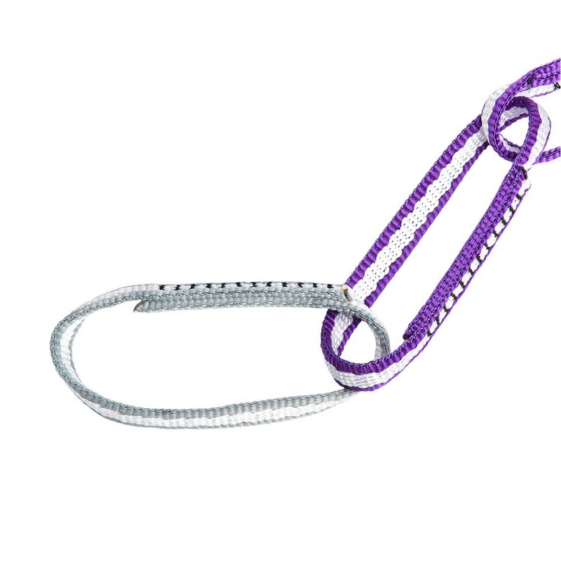 Metolius ME16611 Alpine PAS Purple/Silver