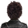 Brown Curly Wig Men 70s 80s Short Fluffy Afro Brown