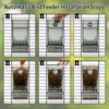 Rypet No Mess Automatic Bird Feeder for Cage,Transparent Acrylic Parrot