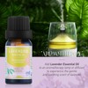 ABLOOM MOON Lavender Essential Oil Blend, 0.34 Fl Oz, Skin