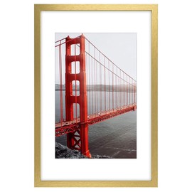 Frametory, 16x24 Frames Display 12x18 Picture with Mat or 16x24 Photo Without Mat, Shatter-Resistant Glass, Pre-Installed Wall Mounting Hardware - Gold