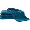 Erwin Müller Ludwigsburg Guest Towels, Pack of 4, Walk Terry,