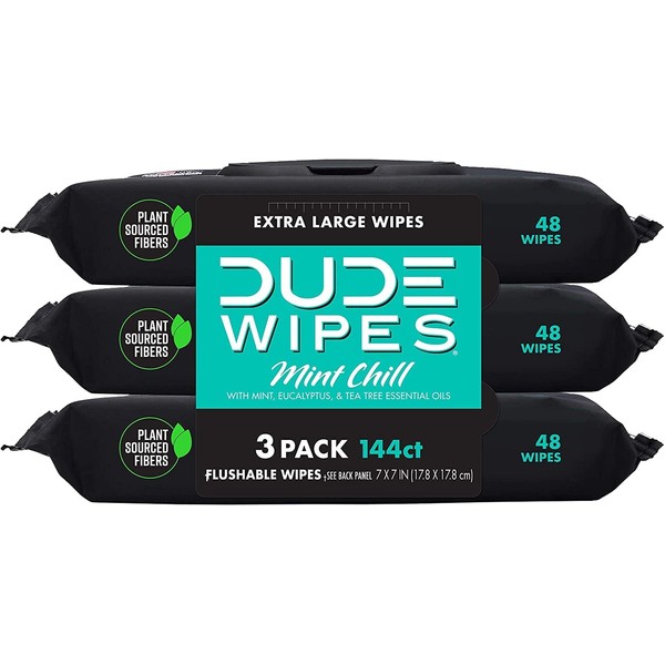 DUDE Wipes Flushable Wipes - 3 Pack, 144 Wipes - Mint Chill Adult Wet Wipes with Vitamin-E, Aloe, Eucalyptus & Tea Tree Oils - Septic and Sewer Safe
