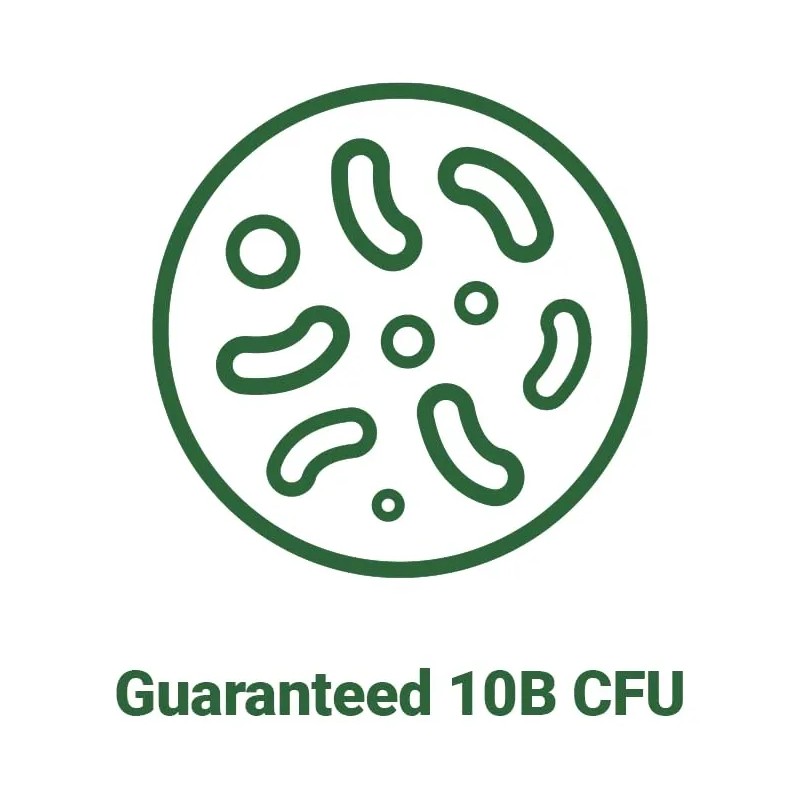 Acebiome Bnrthin S30 - 10 Mil Millones Ufc, 30 Cápsulas