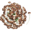 VBS Mushroom on Wire Brown Pack of 100