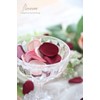 Floroom 300pcs Silk Rose Petals Burgundy Maroon Flower Petals for