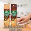Old English Aerosol Wood Protector & Cleaner, Fresh Lemon (Pack
