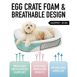OhGeni Orthopedic Dog Bed for Medium Dogs, Dog Couch Design with Egg Foam Support, Removable, Washable Plush Cover and Non-Slip Bottom with Four Sided Bolster Cushion (Turquoise)