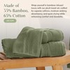 Springtree Home Luxury Viscose from Bamboo Bath Towel Set of