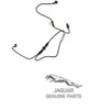 Genuine Jaguar C2Z4729 - Vacuum Hose