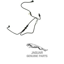 Genuine Jaguar C2Z4729 - Vacuum Hose