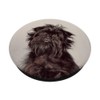 Affenpinscher